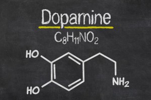 Hvorfor du bør forstå forskjellen på dopamin og serotonin